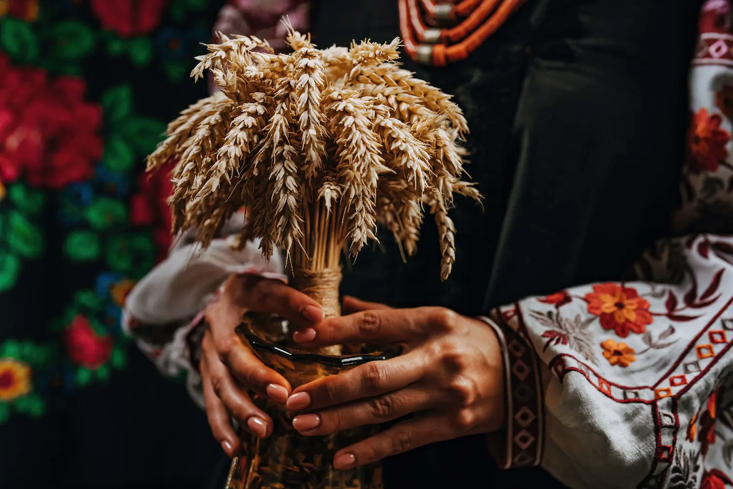 Hands of a community member carefully tending to a young plant.
